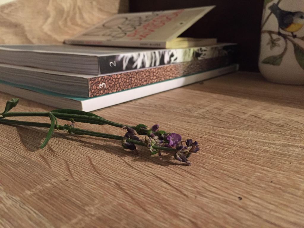 These tiny purple&nbsp;flowers