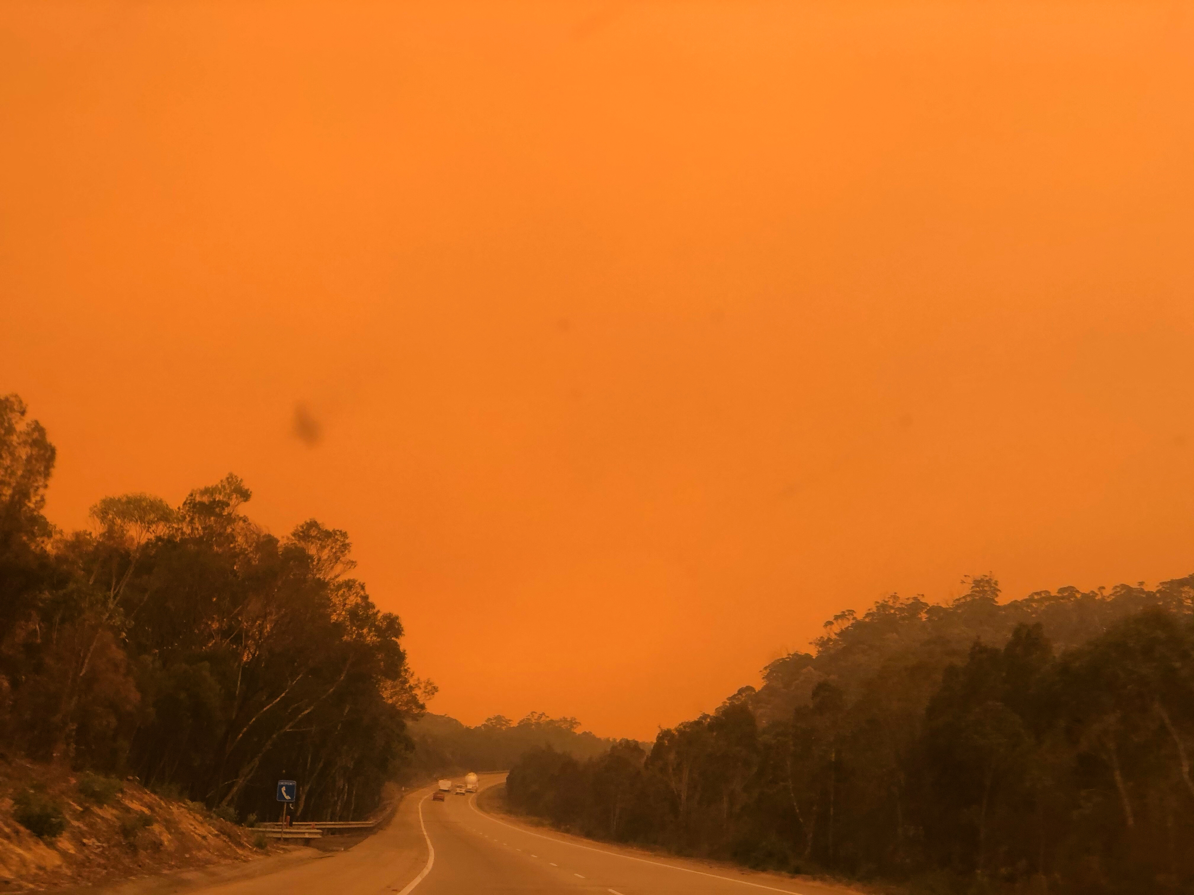 0BF1E483-04B8-4151-8E4D-FF3D58723517