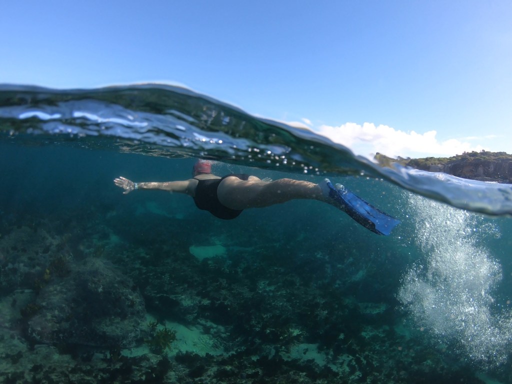 Adaptation: swimming through fire and&nbsp;pandemic