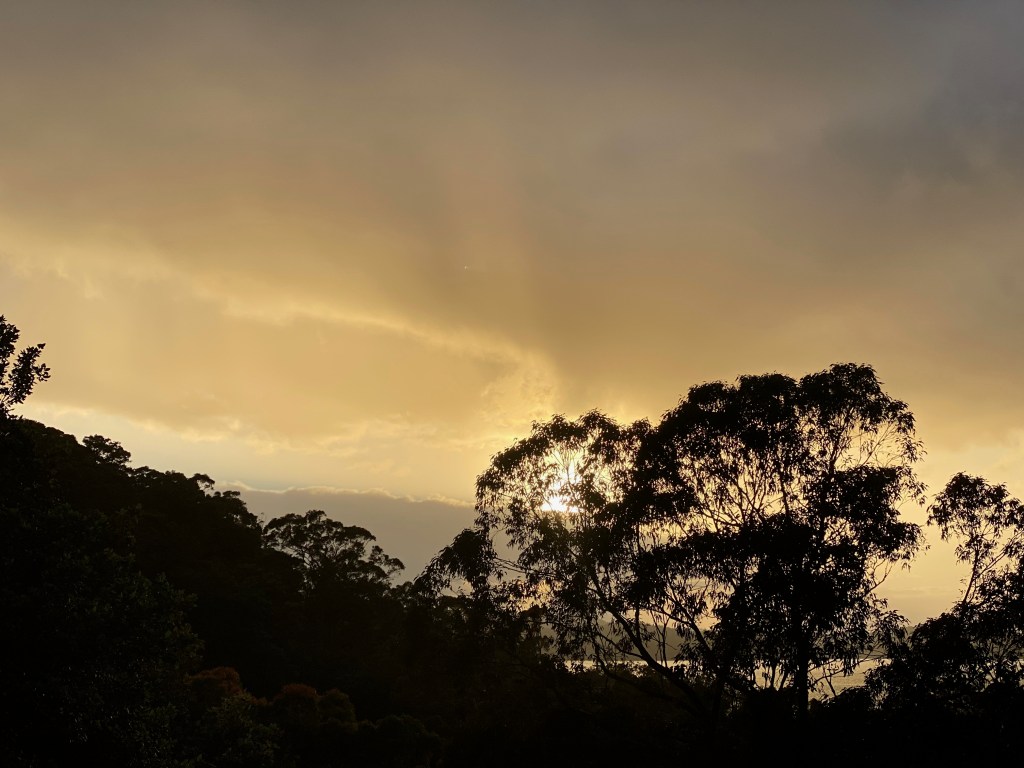 Perhaps it takes courage to raise&nbsp;children