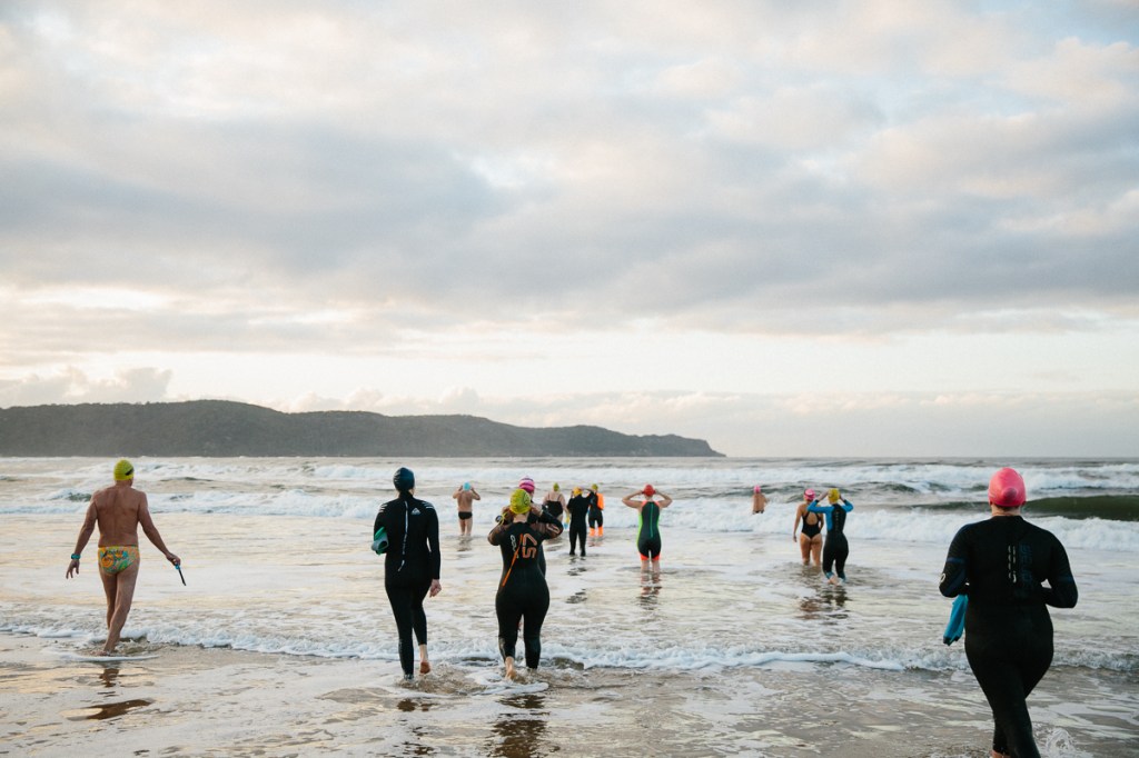 Butterflies over the&nbsp;water